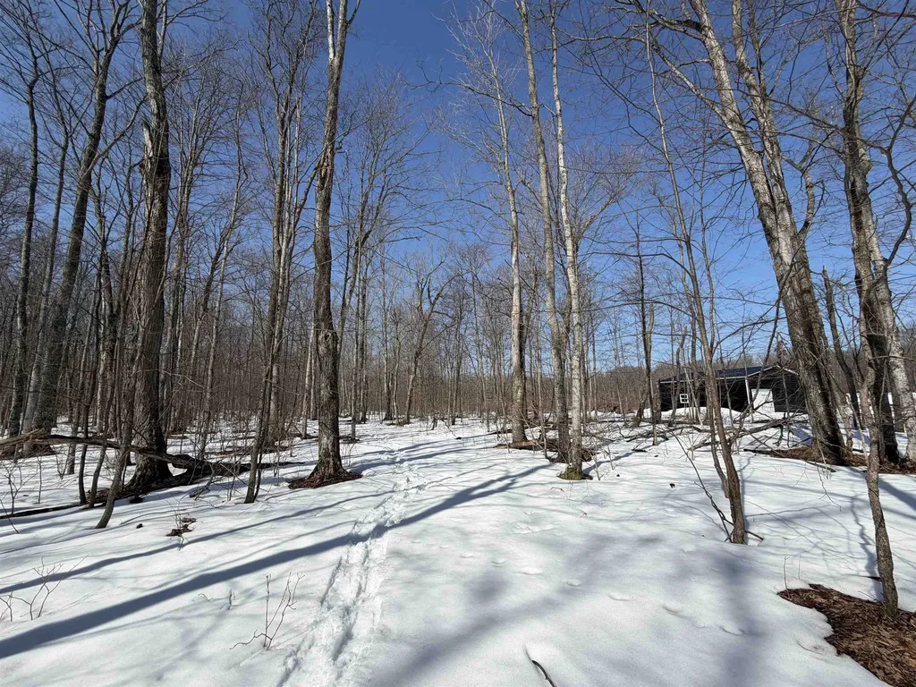 S Drew Road Empire Township MI 49630