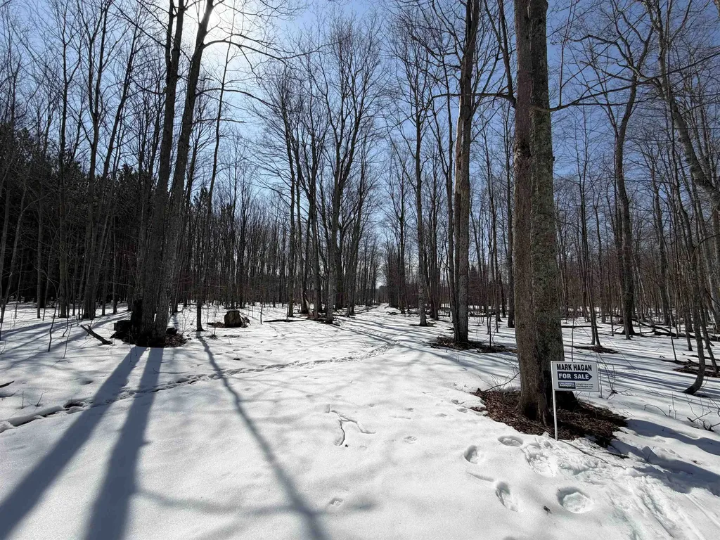 S Drew Road Empire Township MI 49630