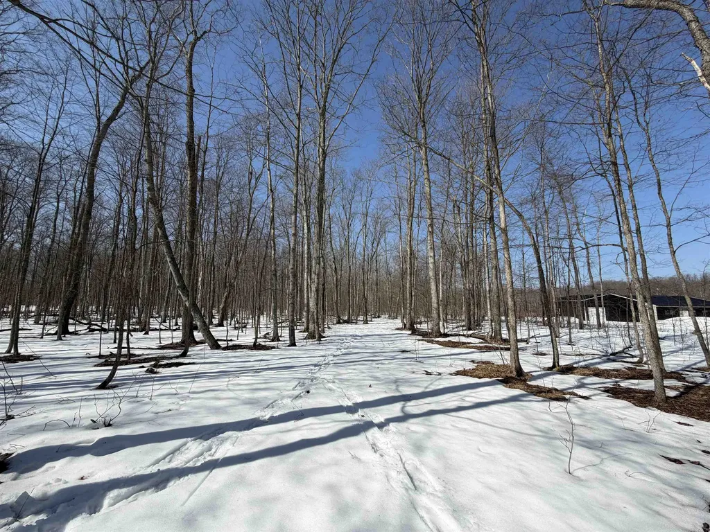 S Drew Road Empire Township MI 49630