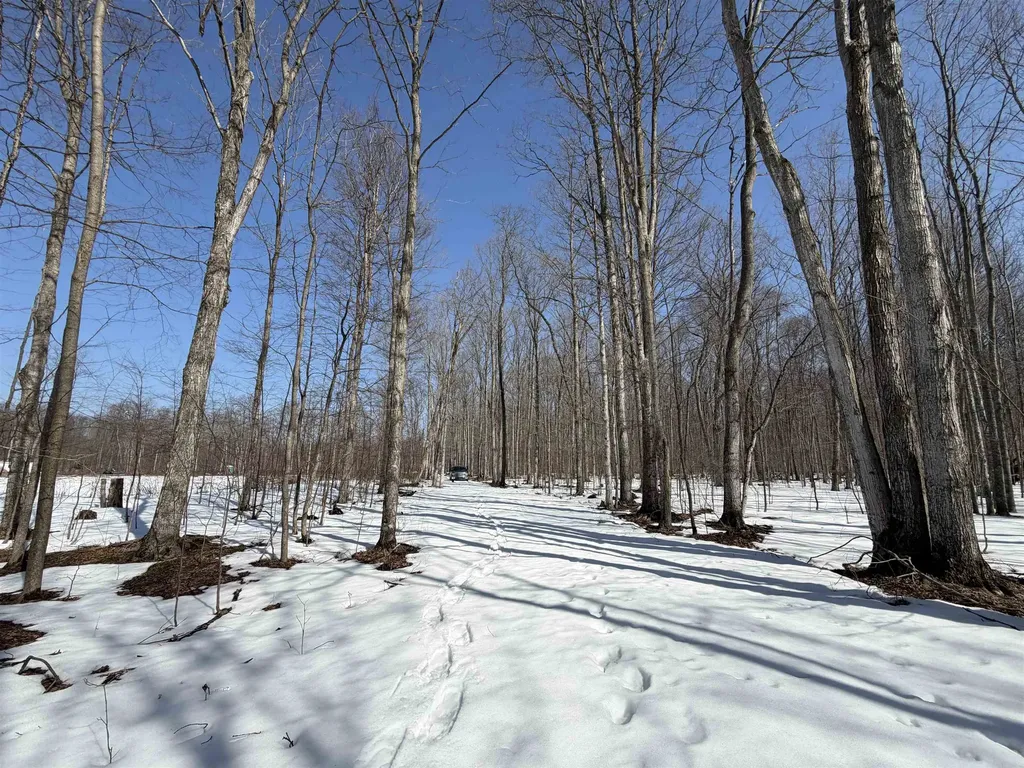 S Drew Road Empire Township MI 49630