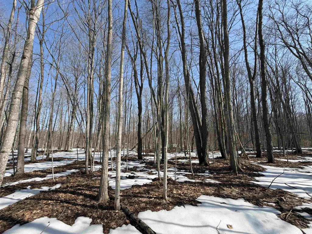 S Drew Road Empire Township MI 49630
