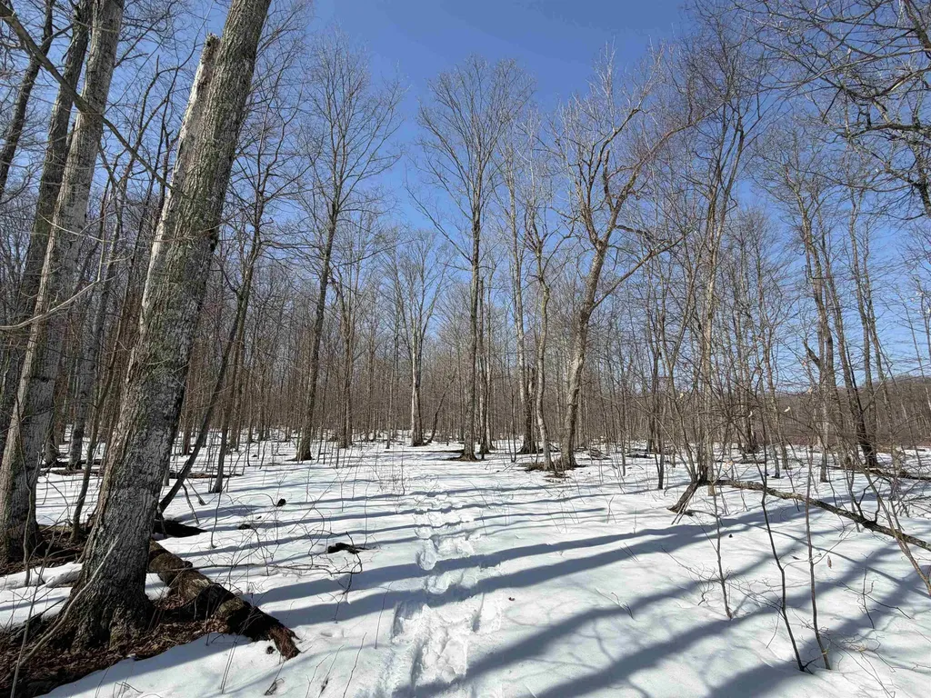 S Drew Road Empire Township MI 49630