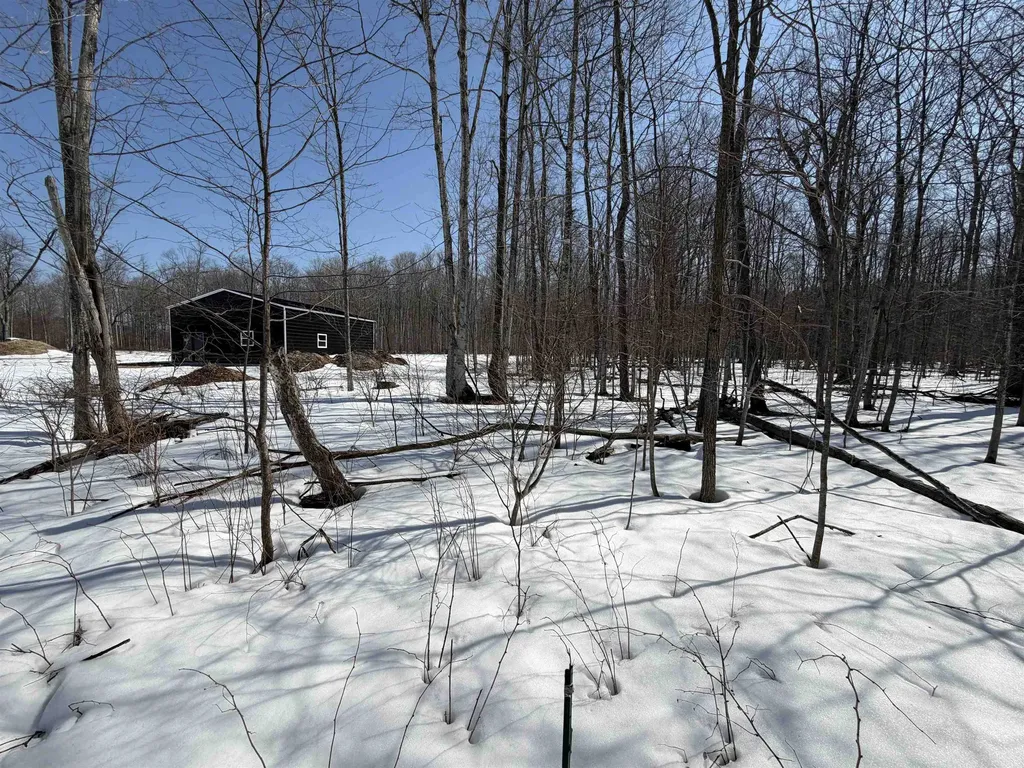 S Drew Road Empire Township MI 49630