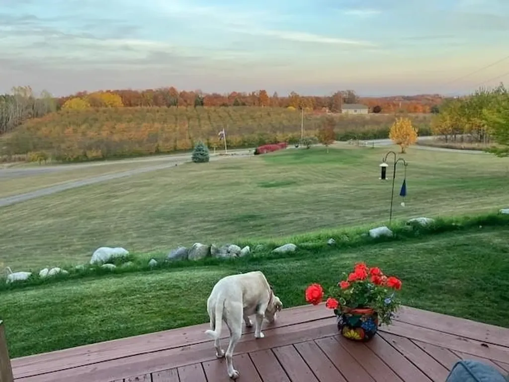 2567 N Evergreen Valley Drive Suttons Bay Township MI 49682