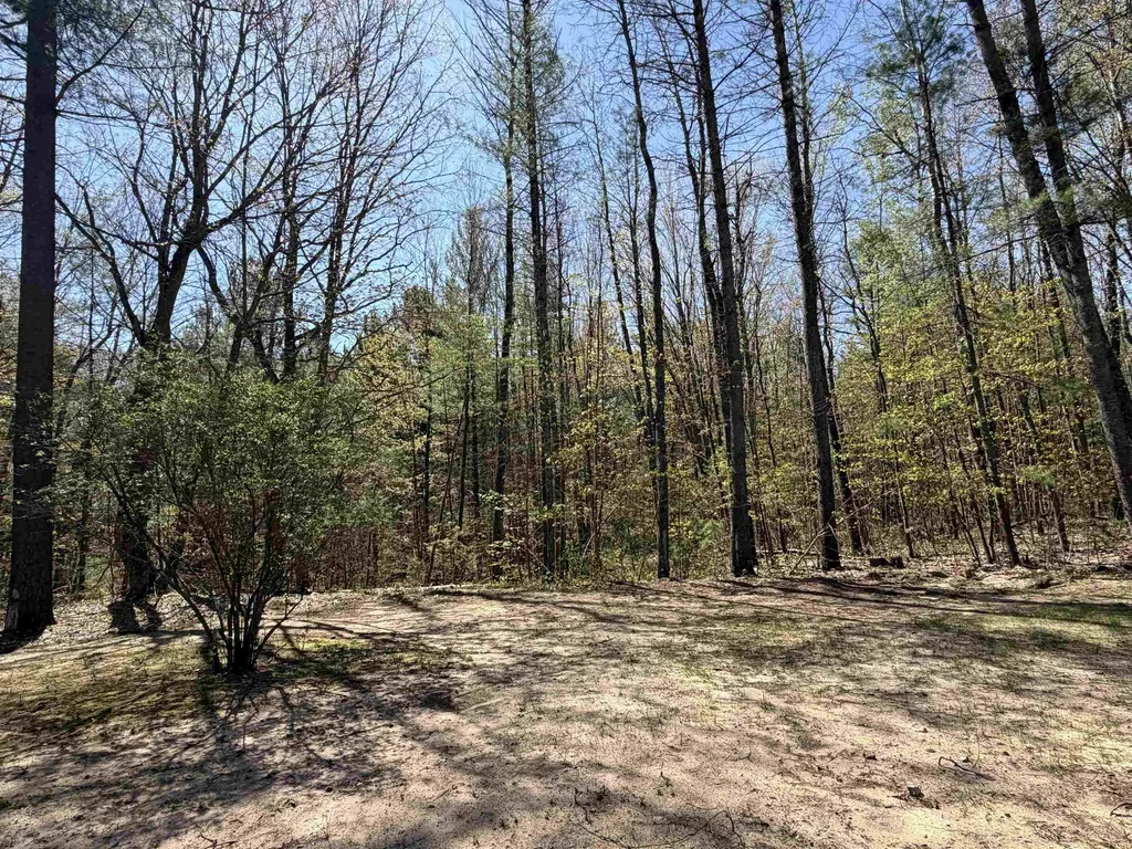 10852 NE Black Bear Road Kalkaska Township MI 49646
