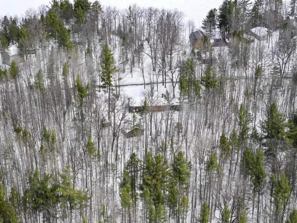 10852 NE Black Bear Road Kalkaska Township MI 49646