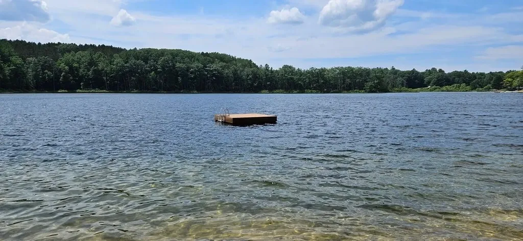 7103 Lake View Ridge Almira Township MI 49650
