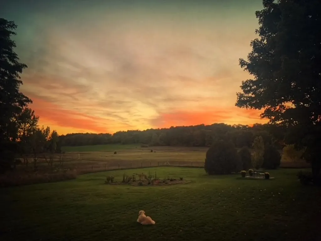 3362 S French Road Centerville Township MI 49621