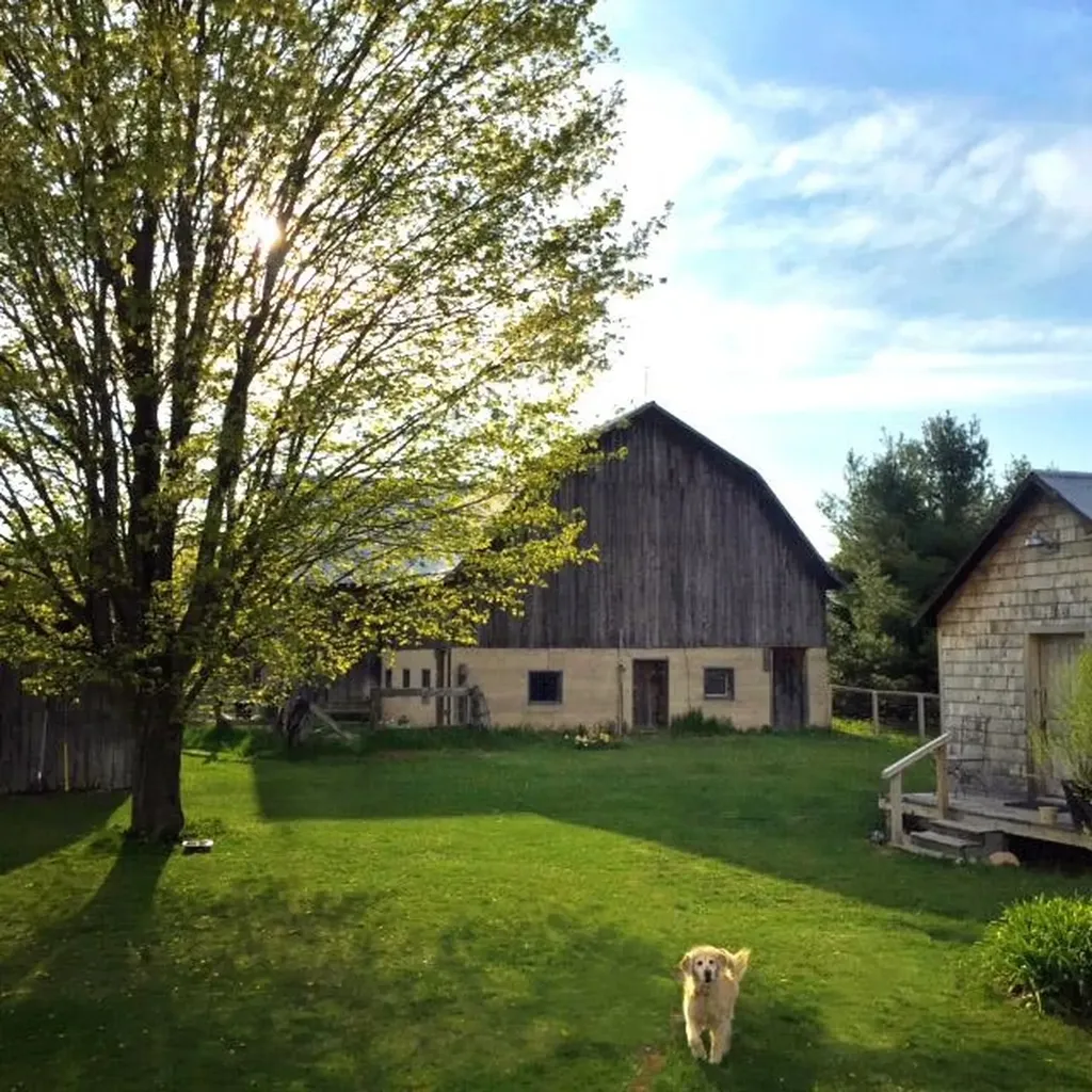 3362 S French Road Centerville Township MI 49621