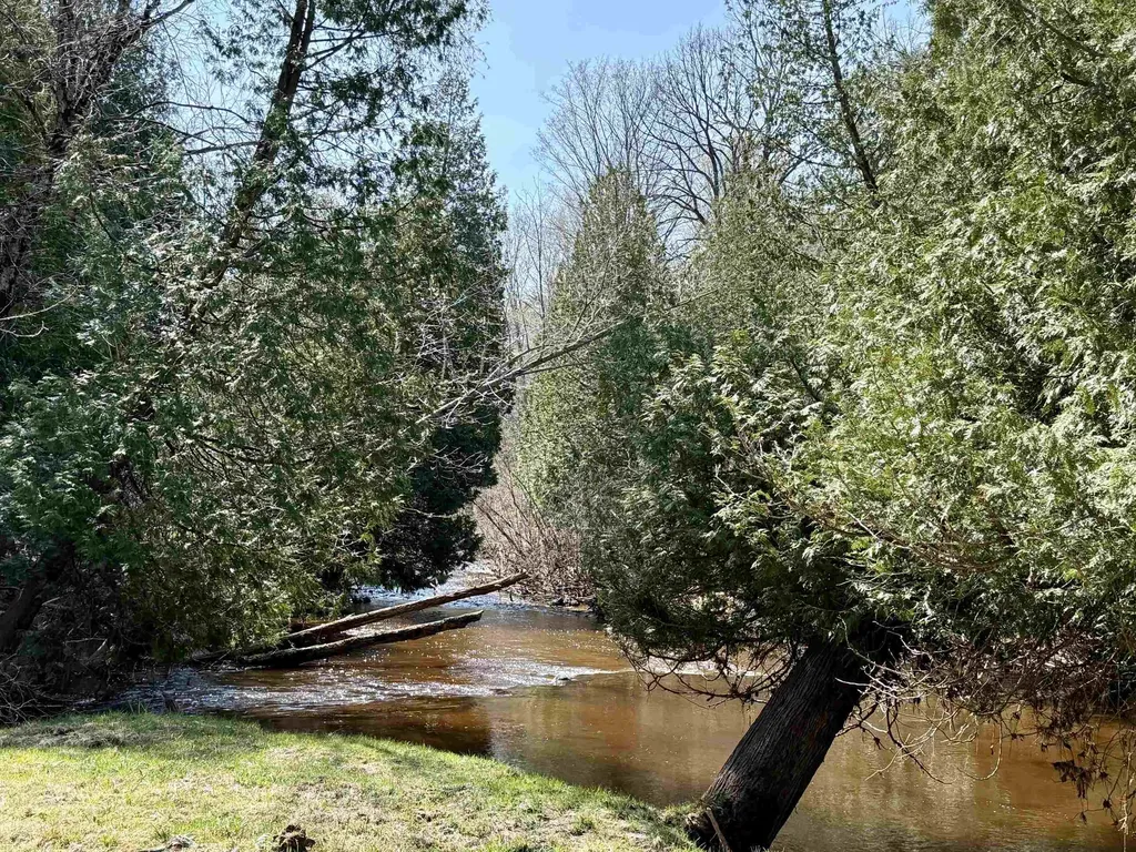 751 Hunters Ridge Marion Township MI 49665