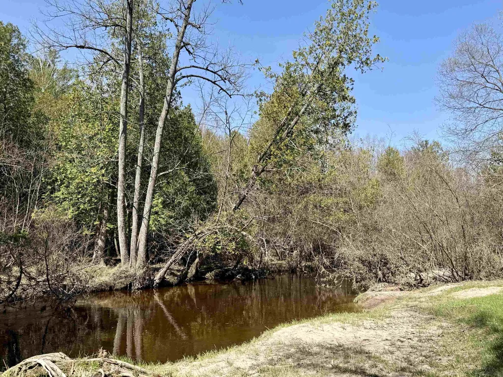 751 Hunters Ridge Marion Township MI 49665