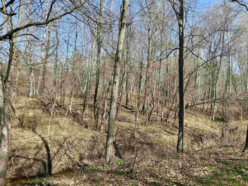 751 Hunters Ridge Marion Township MI 49665