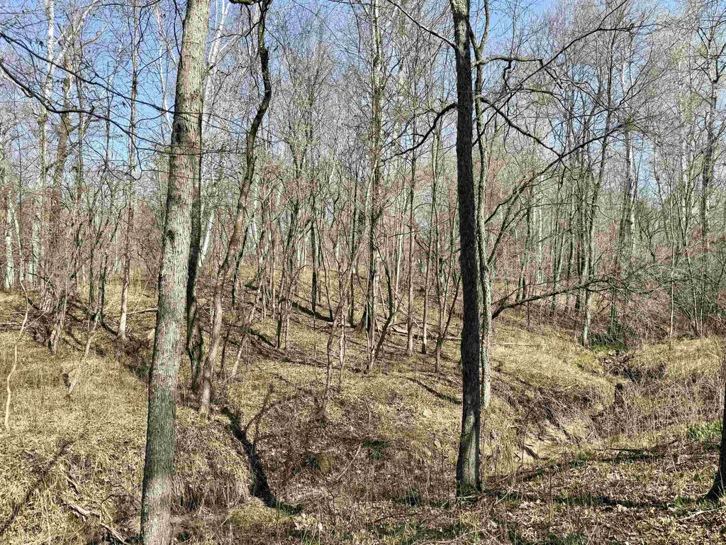 751 Hunters Ridge Marion Township MI 49665
