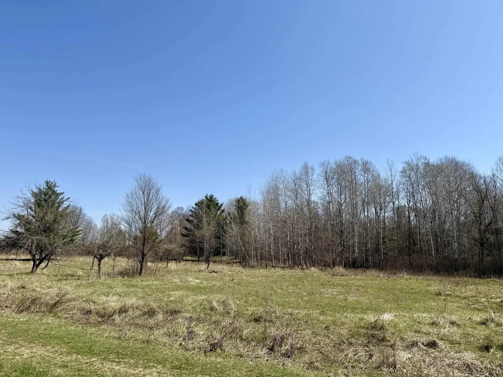 751 Hunters Ridge Marion Township MI 49665