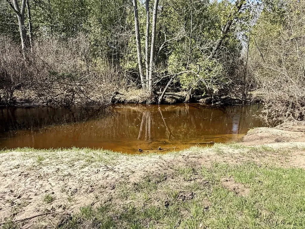 751 Hunters Ridge Marion Township MI 49665