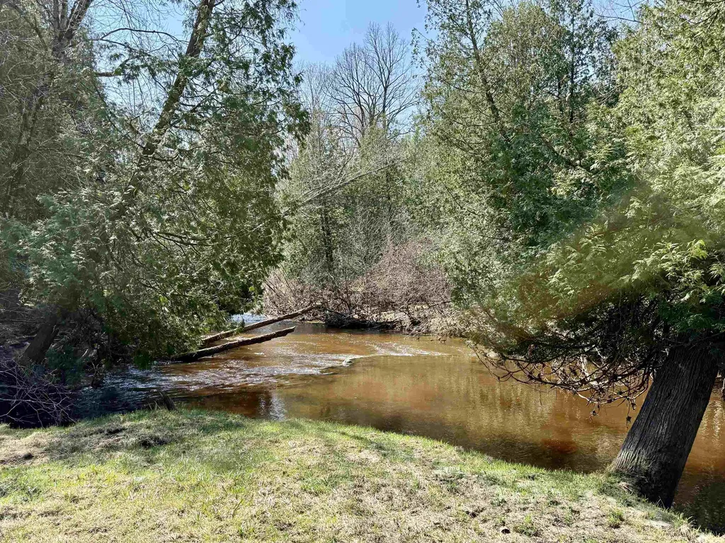 751 Hunters Ridge Marion Township MI 49665