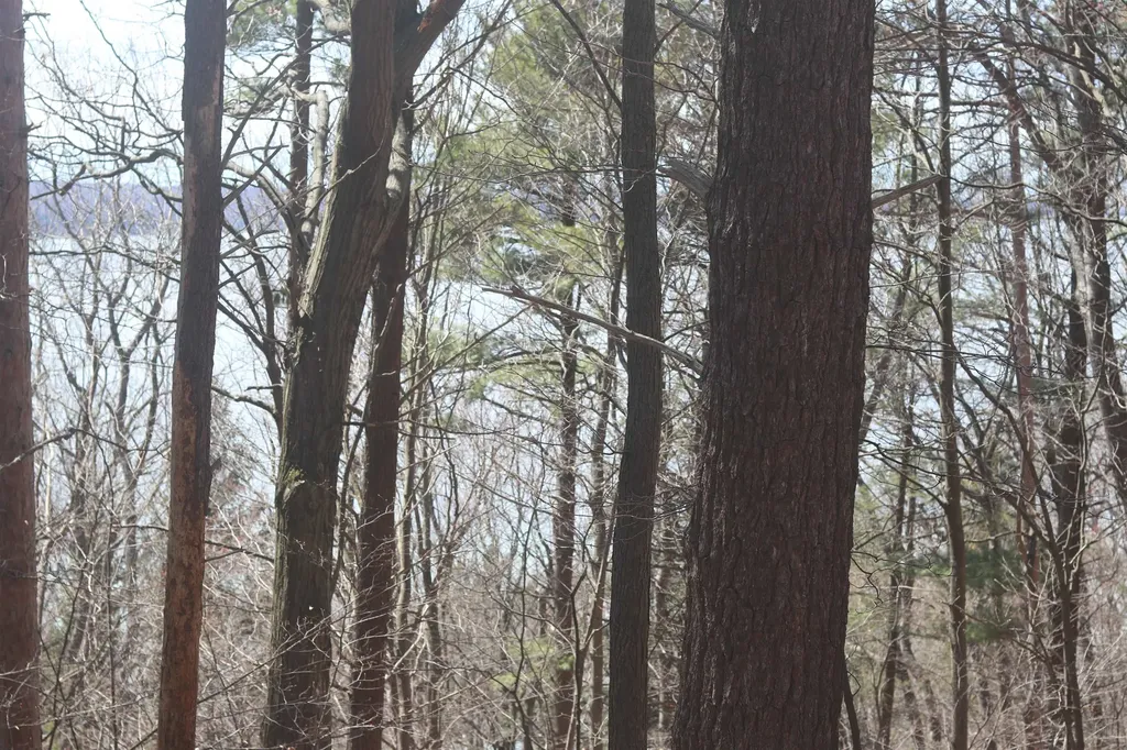 Lot 5 Crystal View Lake Township MI 49617