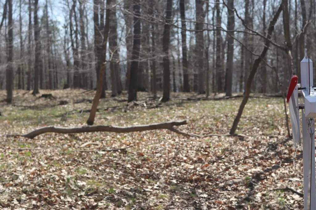 Lot 5 Crystal View Lake Township MI 49617