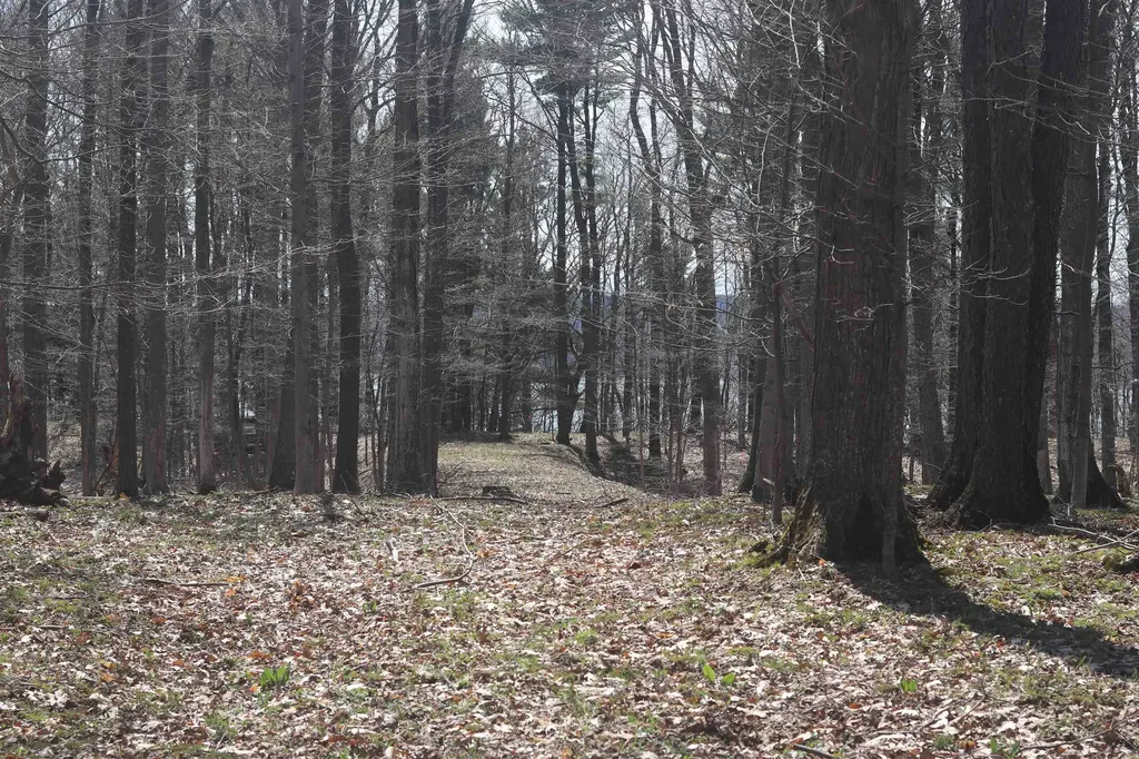 Lot 5 Crystal View Lake Township MI 49617
