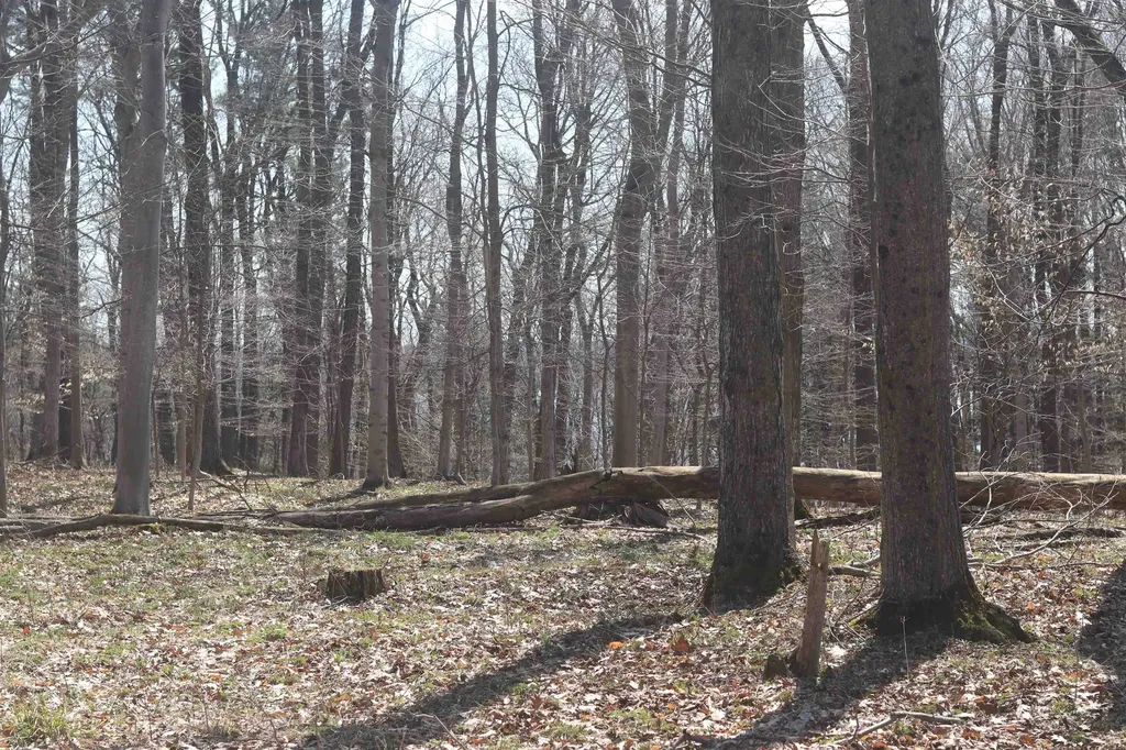 Lot 5 Crystal View Lake Township MI 49617
