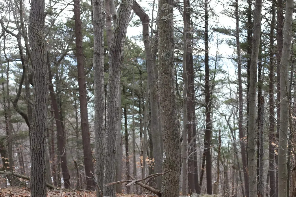 Lot 5 Crystal View Lake Township MI 49617