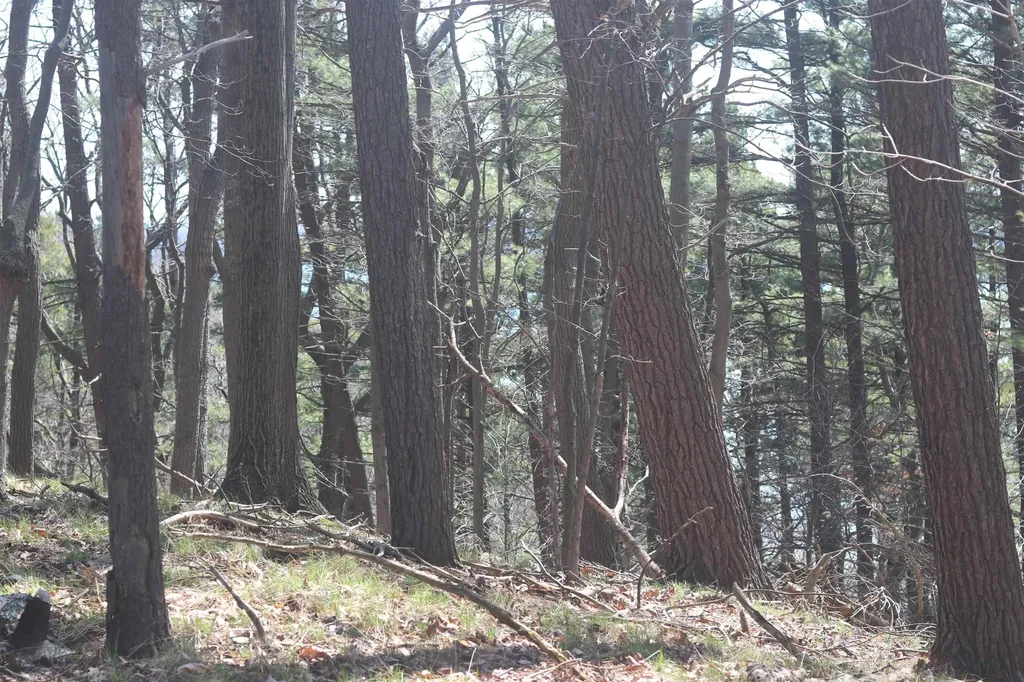 Lot 5 Crystal View Lake Township MI 49617