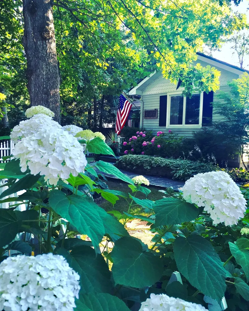 207 Birchwood Avenue Traverse City City MI 49685