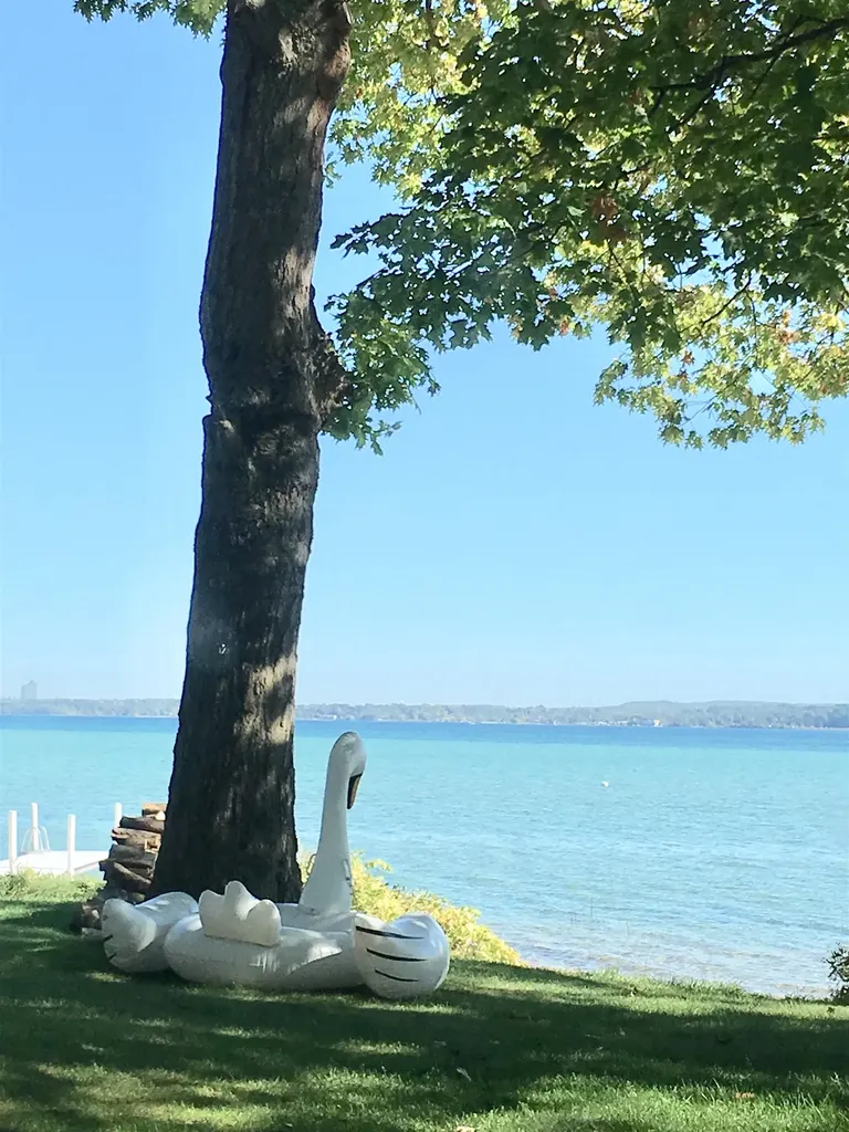 207 Birchwood Avenue Traverse City City MI 49685