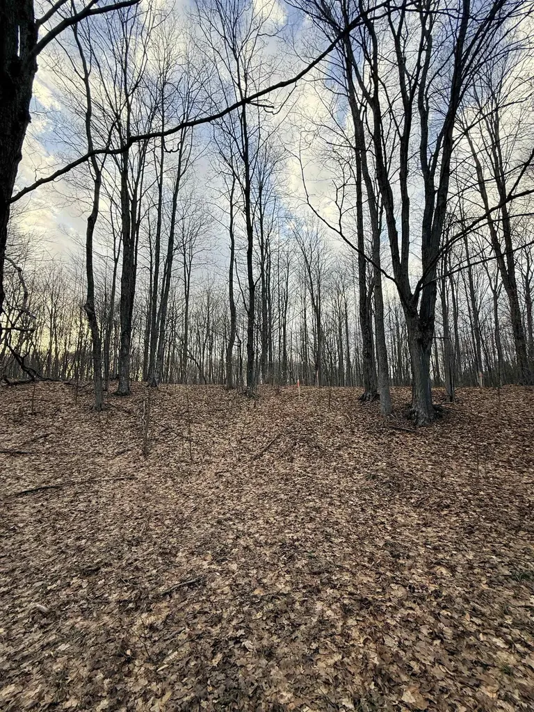 1208 S Ridge Court Blair Township MI 49696