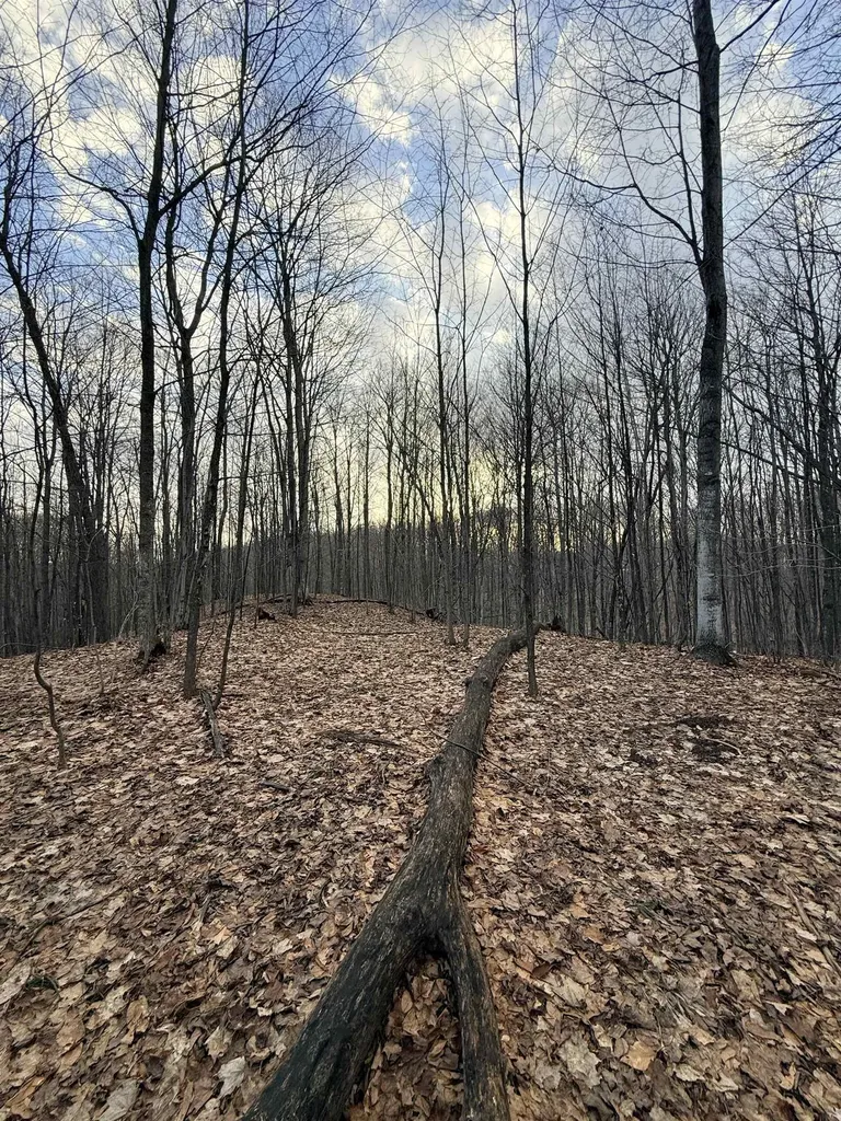 1208 S Ridge Court Blair Township MI 49696