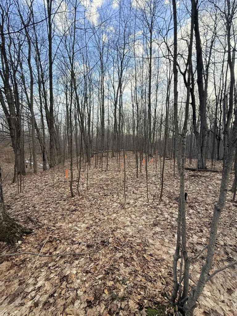 1208 S Ridge Court Blair Township MI 49696
