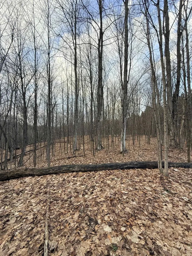 1208 S Ridge Court Blair Township MI 49696