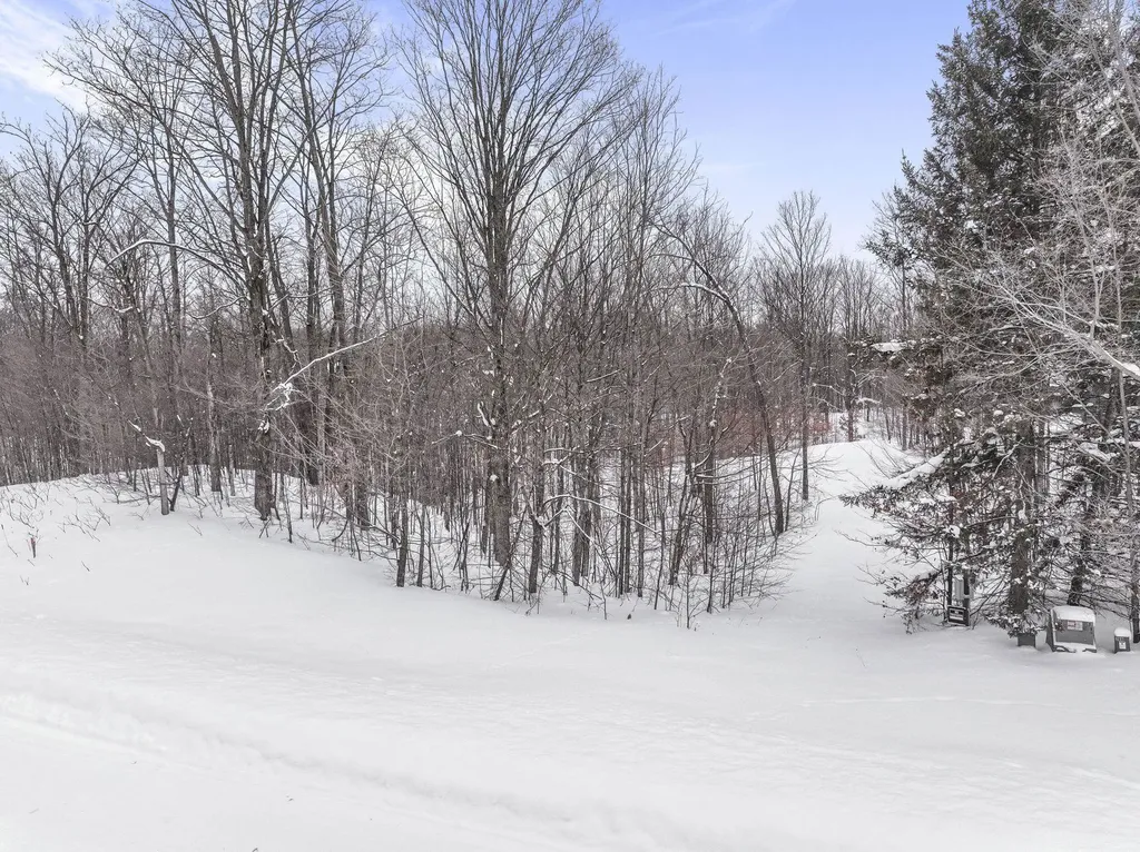 1208 S Ridge Court Blair Township MI 49696