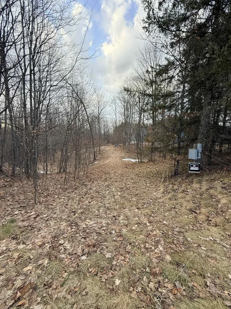 1208 S Ridge Court Blair Township MI 49696
