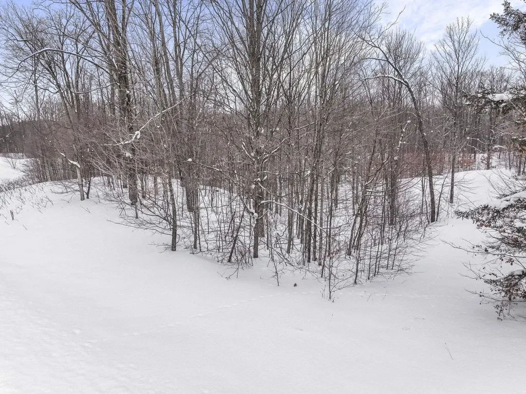 1208 S Ridge Court Blair Township MI 49696