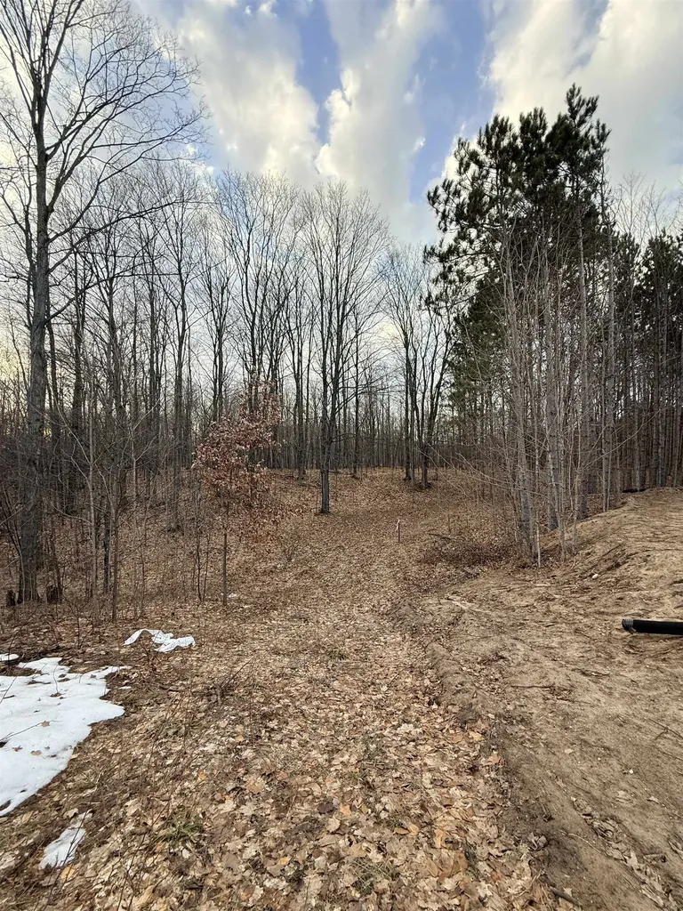 1208 S Ridge Court Blair Township MI 49696