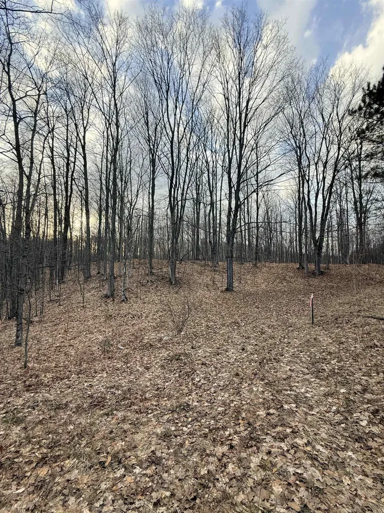 1208 S Ridge Court Blair Township MI 49696
