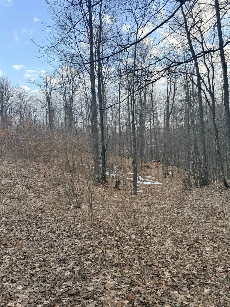 1208 S Ridge Court Blair Township MI 49696