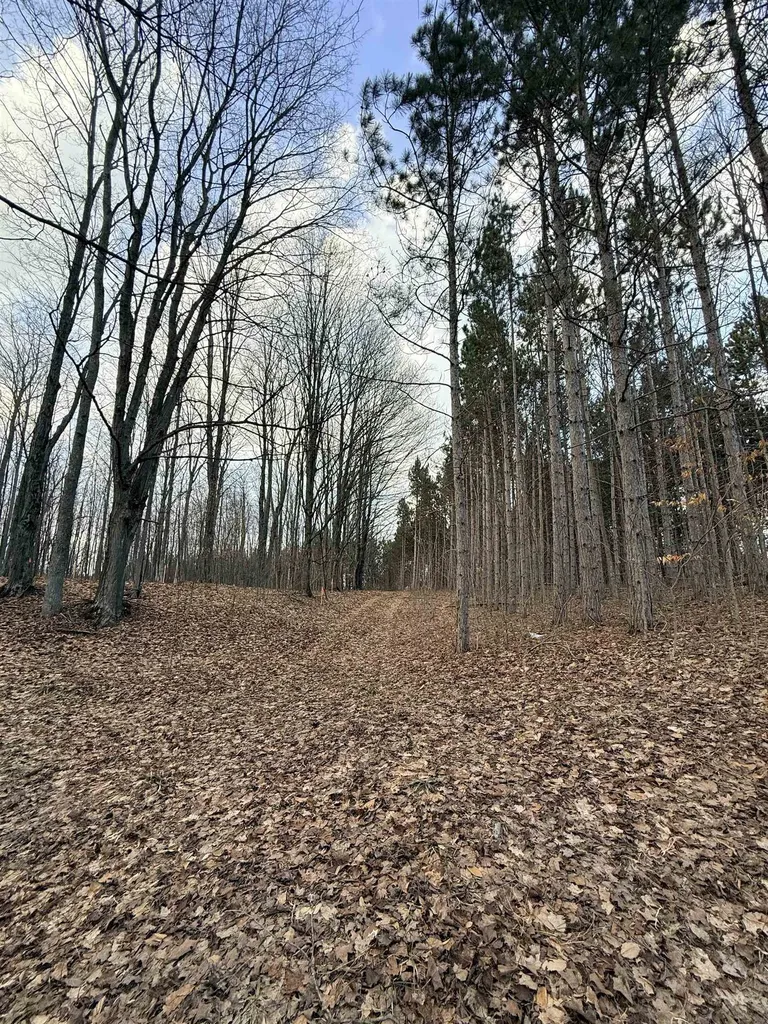 1208 S Ridge Court Blair Township MI 49696