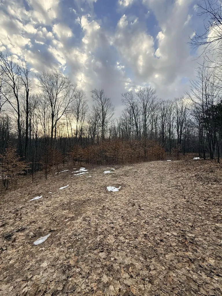 1208 S Ridge Court Blair Township MI 49696
