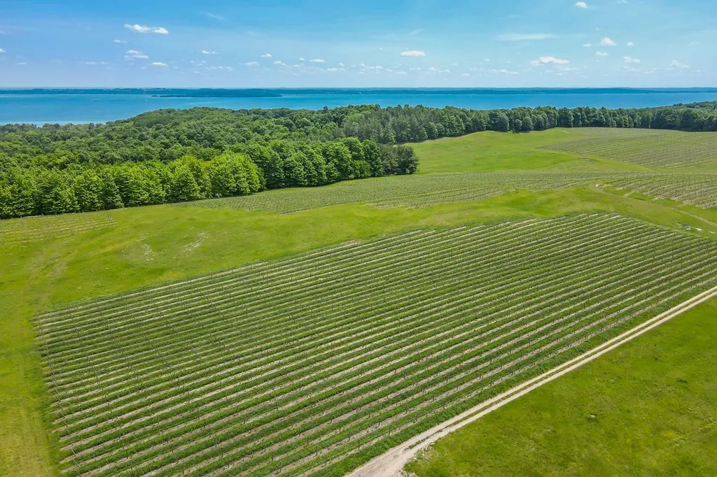 9580 E Shady Lane Bingham Township MI 49682