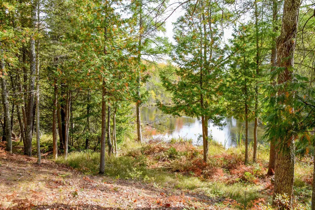 W Plum Valley Road NW Clearwater Township MI 49676