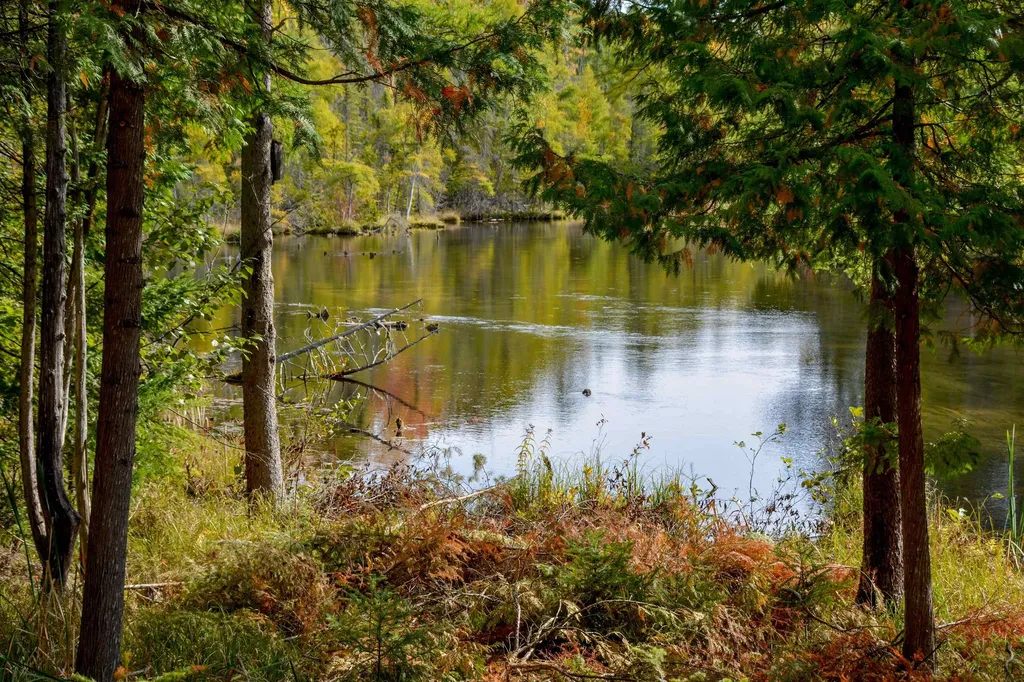W Plum Valley Road NW Clearwater Township MI 49676