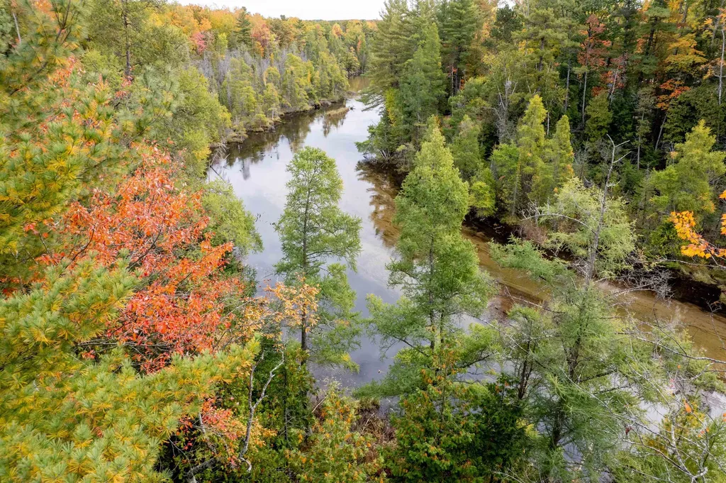 W Plum Valley Road NW Clearwater Township MI 49676