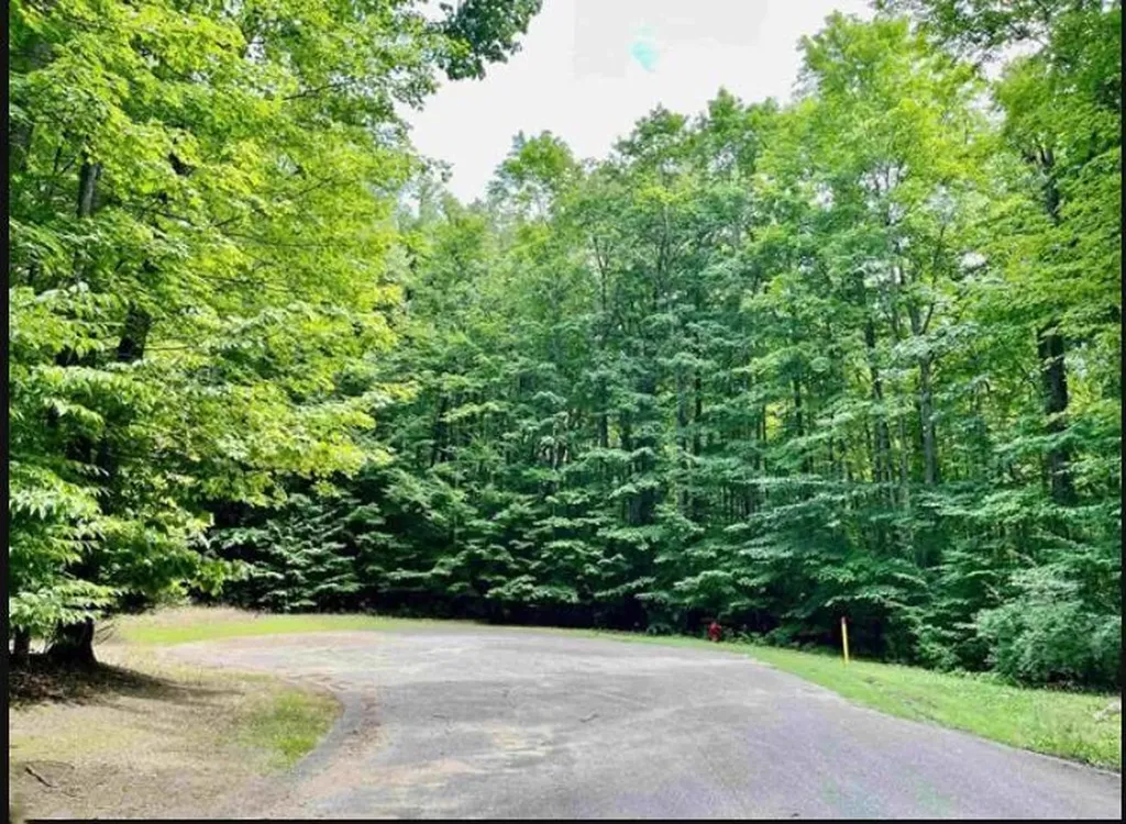 129-130 Laurel Valley Kearney Township MI 49615