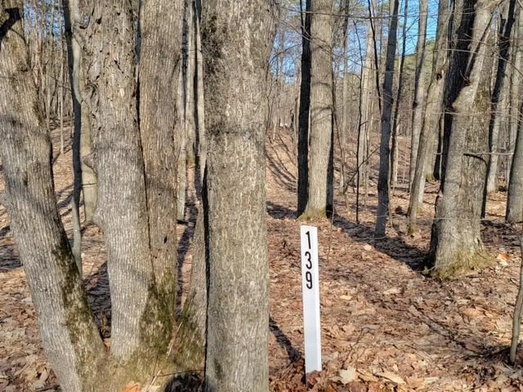 129-130 Laurel Valley Kearney Township MI 49615