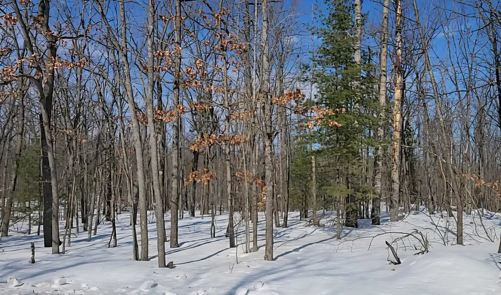 Lot 297 Nottingham Drive Otsego Lake Township MI 49733