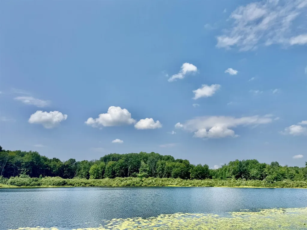 16121 130th Avenue Rose Lake Township MI 49655