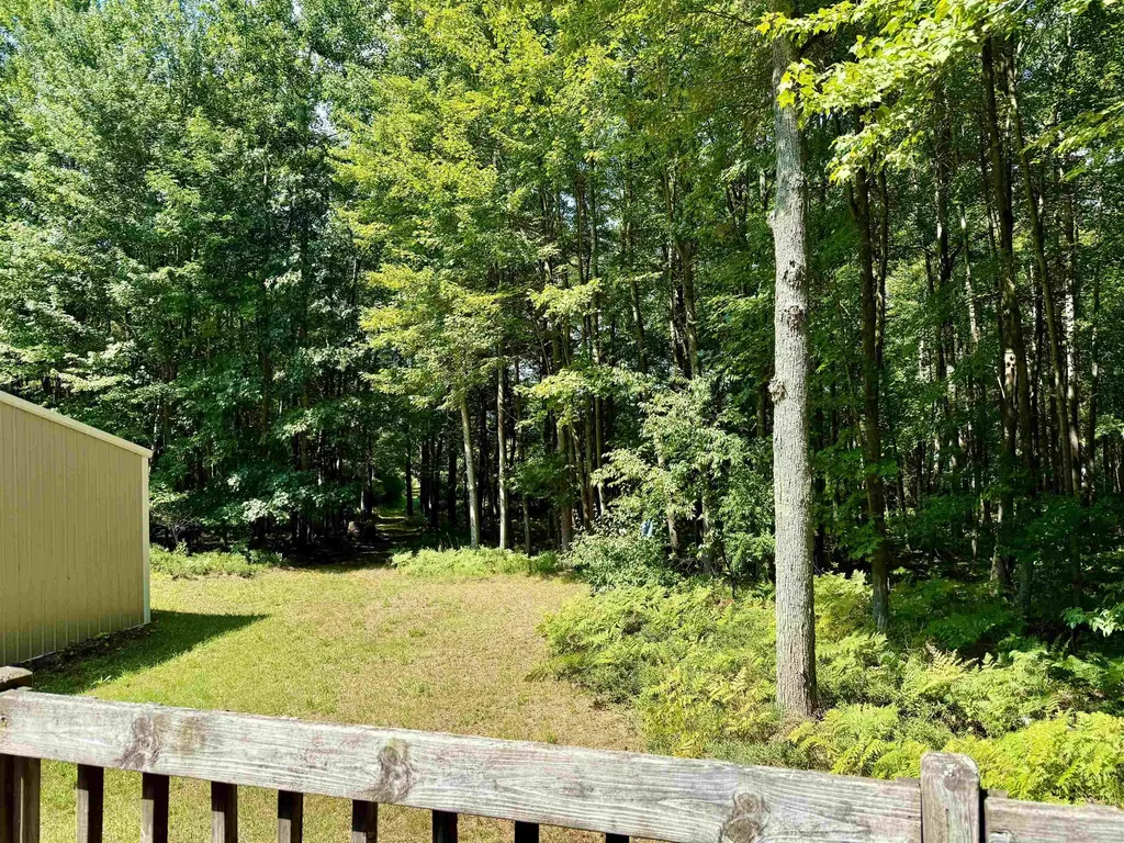 16121 130th Avenue Rose Lake Township MI 49655