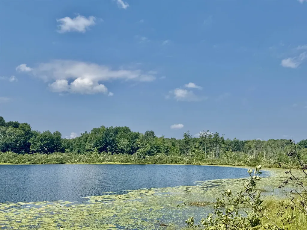 16121 130th Avenue Rose Lake Township MI 49655